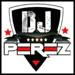 DJ Perez - Best Of Afrobeat Mix 2024