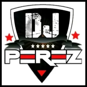DJ Perez - Best Of Afrobeat Mix 2024