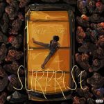 PzeeLee__Vibez – Surprise