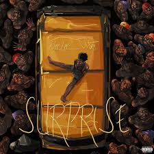 PzeeLee__Vibez – Surprise