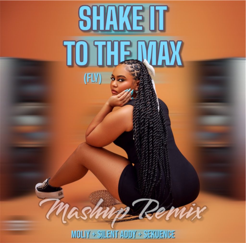 Moliy – Shake It To The Max (Fly) Ft. Silent Addy