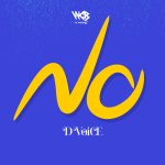 D Voice – NO