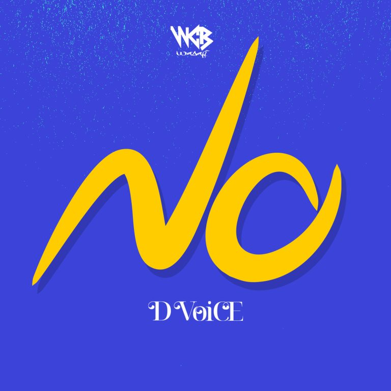 D Voice – NO
