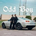Taylor Twins - Odd Boy (For Here)