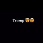 Smur Lee – Trump