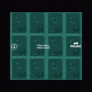 Tyson Sybateli – Analogue ft. Marcus Harvey