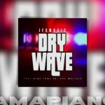 JFS Music - Dry Wave ft King Tone & Soa Mattrix