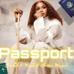 Shandesh – Passport Ft. Mvzzle Shandesh – Passport Ft. Mvzzle