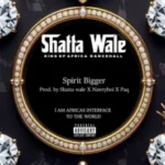 Shatta Wale – Toorlet
