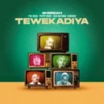 Sheebah – Tewekadiya