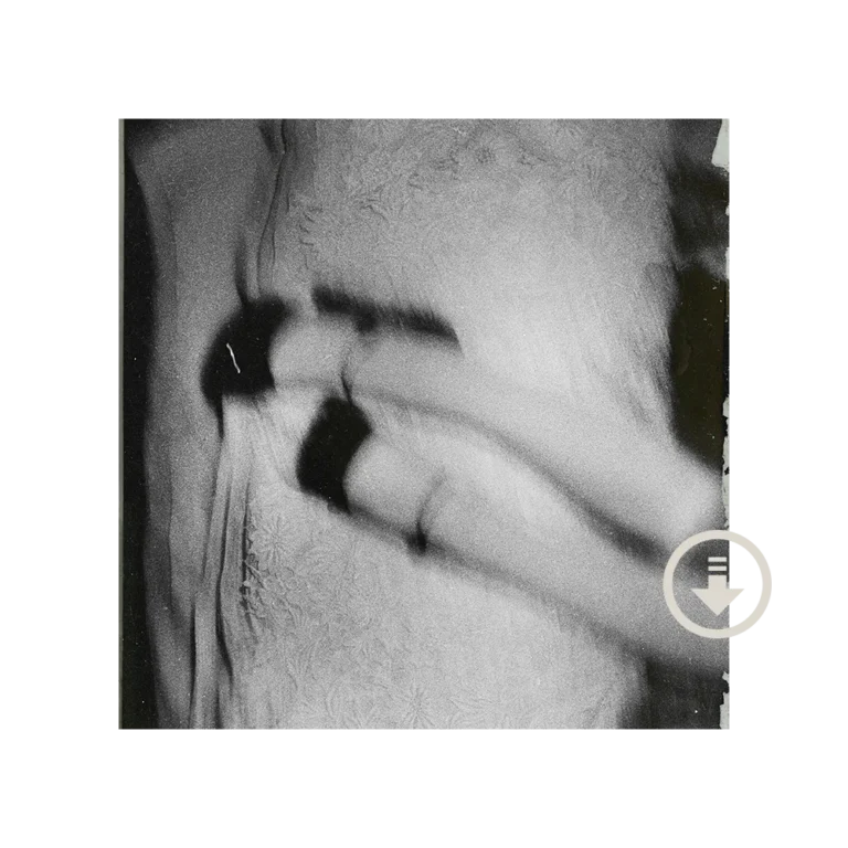 Ariana Grande – Petal