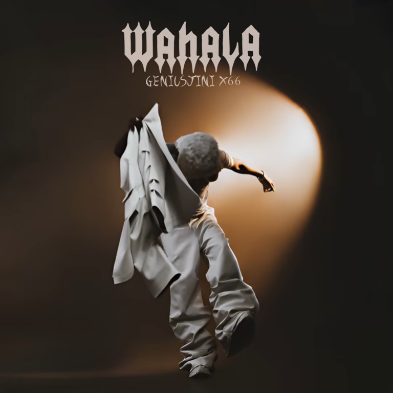 GeniusJini x66 – Wahala