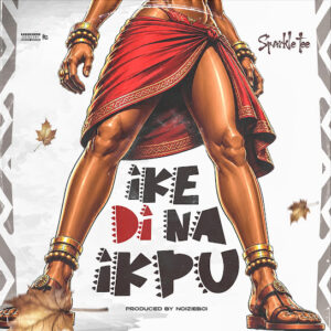 Sparkle Tee – Ike Di Na Ikpu