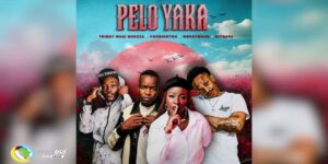 Tribby Wadi Bhozza – Pelo Yaka Ft Poobington, Wendy Moon & Hitboss SA