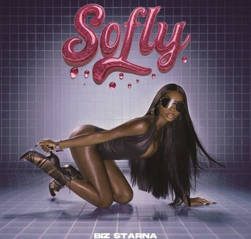 Biz Starna – Sofly