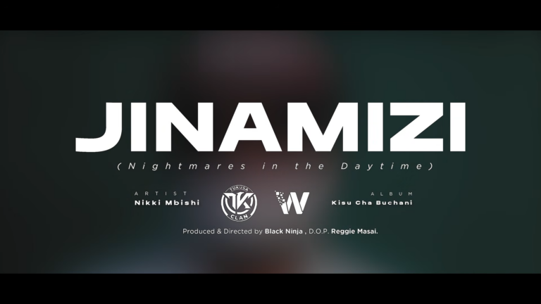 Nikki Mbishi – Jinamizi