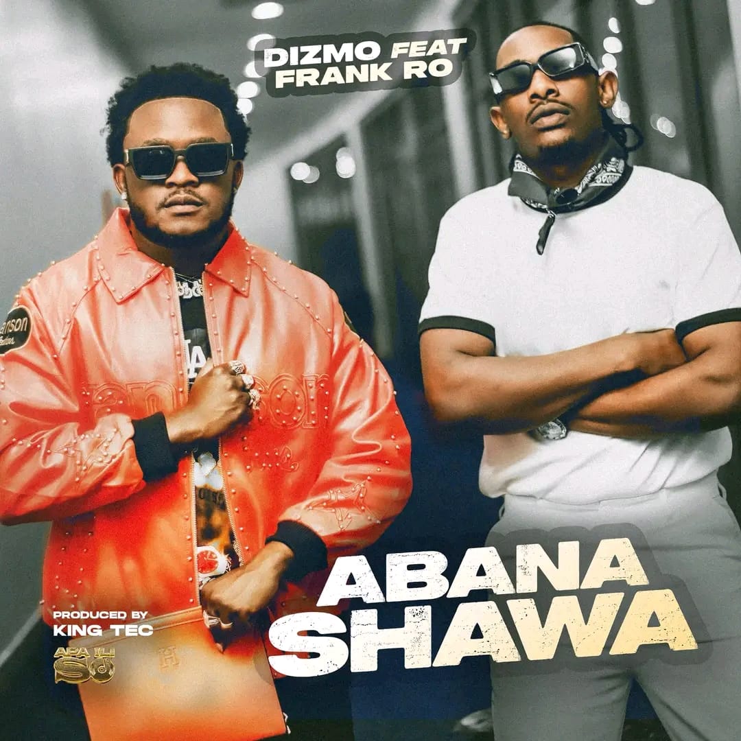 Dizmo – Abana Shawa ft. Frank Ro