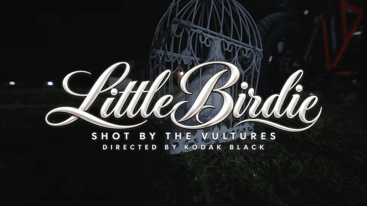 Kodak Black – Lil Birdie