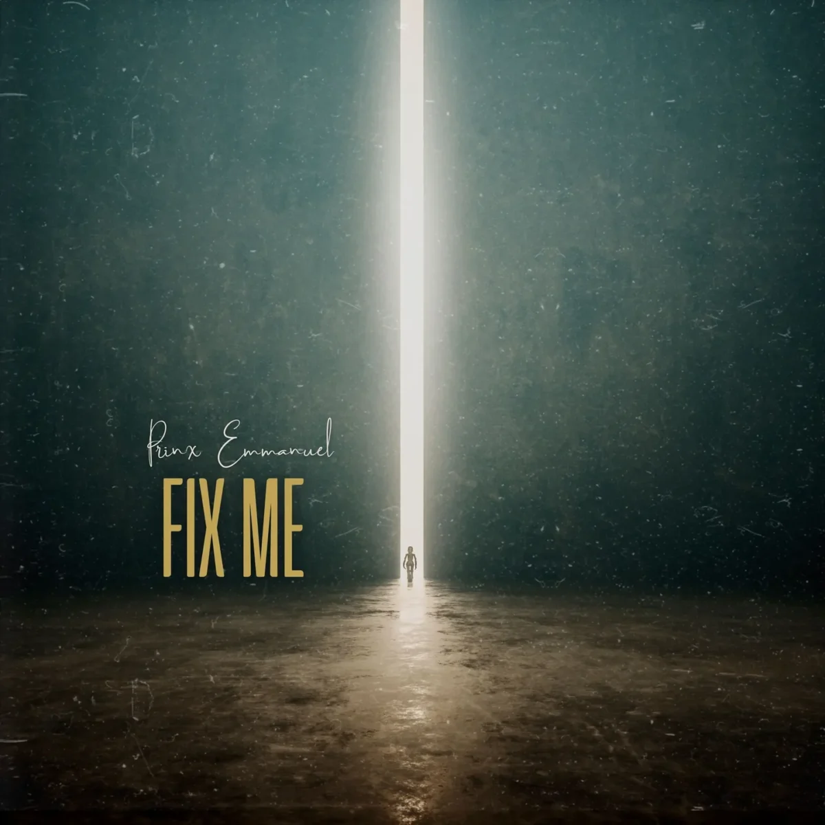 Prinx Emmanuel – Fix Me
