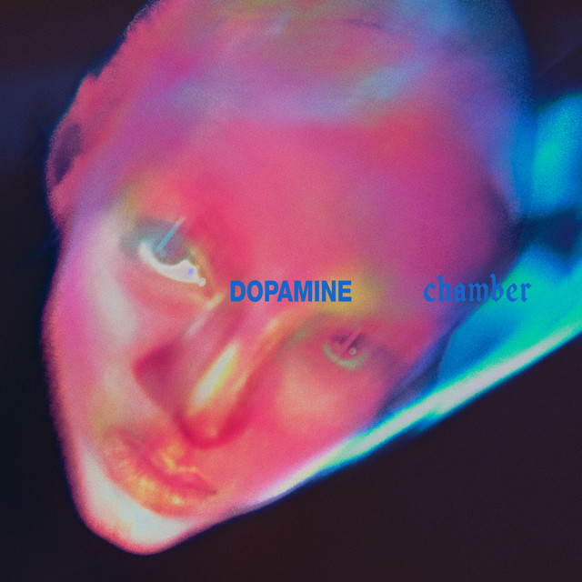 Fontaines D.C. – Demolition